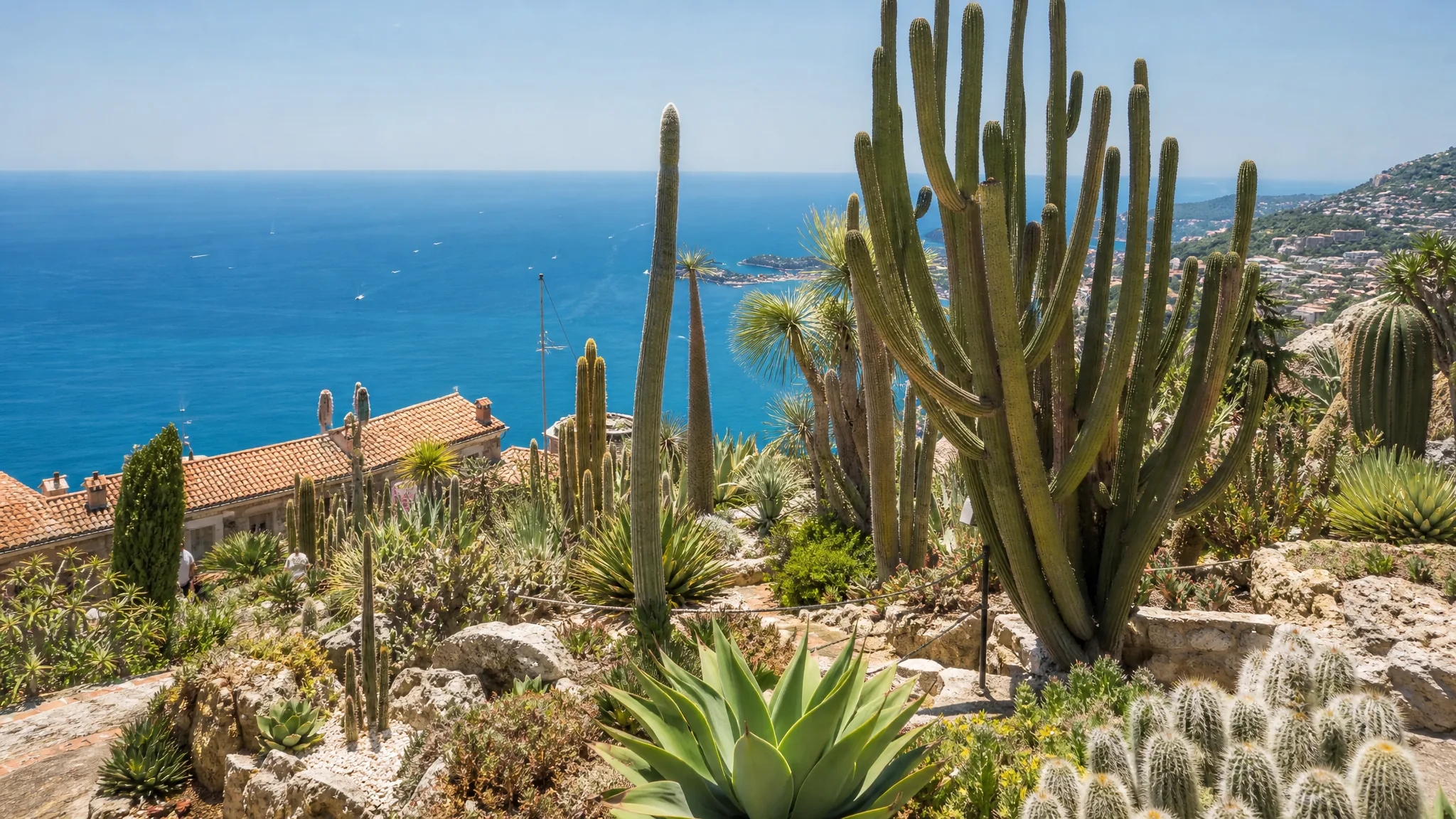Exotic Garden Monaco — гигантские кактусы, суккуленты и панорама моря